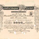 D. Tripcovich e C.i. – S.A. di Navigazione, Rimorchi e Salvataggi-2