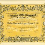 Cooperativa Agraria del Mandamento di Monsummano-1