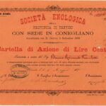 Enologica della Provincia di Treviso Soc.-1