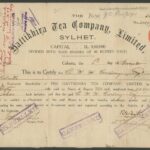 Hattikhira Tea Company Limited-1