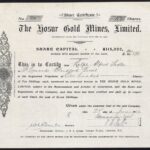 Hosur Gold Mines Ltd-1