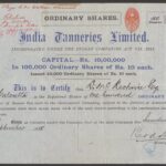 India Tanneries Limited-1