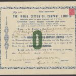 Indian Cotton Oil Company Limited-2