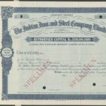 Indian Iron & Steel Company Limited-1