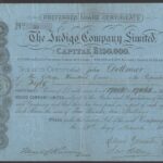 Indigo Company Ltd-1