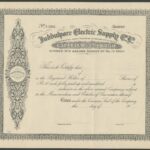 Jubbulpore Electric Supply Co. Ltd.-1