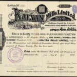 Kalyan Mills Limited-1