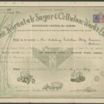 Karnatak Sugar & Cellulose Works Limited-1