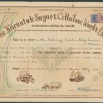 Karnatak Sugar & Cellulose Works Limited-2