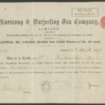 Kursiong & Darjeeling Tea Company Limited-1