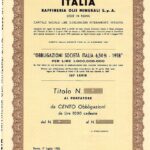 Italia Raffineria Olii Minerali S.p.A.-1