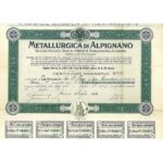 Metallurgica di Alpignano S.A.-2