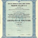 Paganini Villani e C. Società pel Commercio dei Coloniali, Droghe e Medicinali-1
