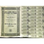 Immobiliere de st.Etienne et de st.Chamond soc. Anon.-1