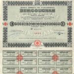 Bergougnan caoutchouc brut et manufacturé-1