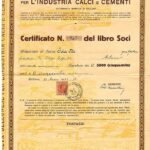 Bellunese per l’Industria Calci e Cementi Soc.-1