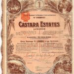 Castara Estates Limited-1