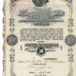 Banca Moldovei de Jos din Barlad-1