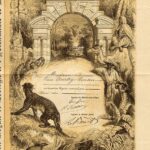 Royale de Zoologie d’Horticulture et d’Acrement de Bruxelles Société-1