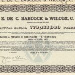 S.E. de C. Babcock & Wilcox C.A.-1