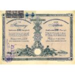 Magyar altalanos koszenbanya reszvenytarsulat-1