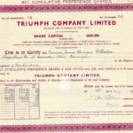 Triumph Company Limited-1