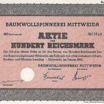 Baumwollspinnerei Mittweida-1