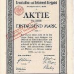 Braunkohlen-und Briketwerk Berggeist-1