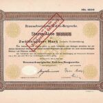 Braunschweigische Kohlen-Bergwerke-1