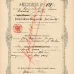 Steinkohlen-Bergwerk Zollverein-1