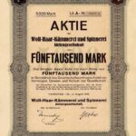 Woll-Haar-Kämmerei und Spinnerei-2