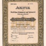 Woll-Haar-Kämmerei und Spinnerei-1