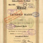 Zellstofffabrik Waldhof-1