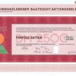 Kleinwanzlebener Saatzucht AG-1