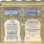 Kadischa S.A. d’Electricité-1