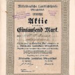 Mitteldeutsche Landlichtspiele-1