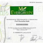 Mr. Evergreen-1