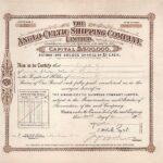 The Anglo-Celtic Shipping Company, Limited-1
