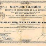 Baleinière Compagnie-1