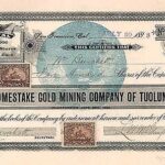Homestake Gold Mining Company of Tuolumne-1