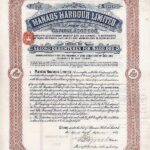 Manaos Harbour Limited-2