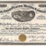 The Gold Placer Mining Company-1