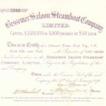 Bessemer Saloon Steamboat Company-1