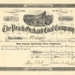 The Peach Orchard Coal Company-1
