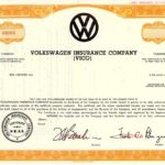 Volkswagen Insurance Company (VICO)-1